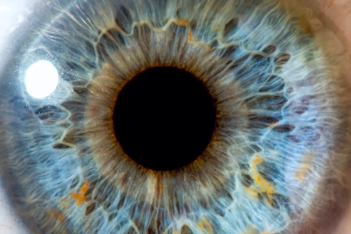 CFTR Activators and Inhibitors