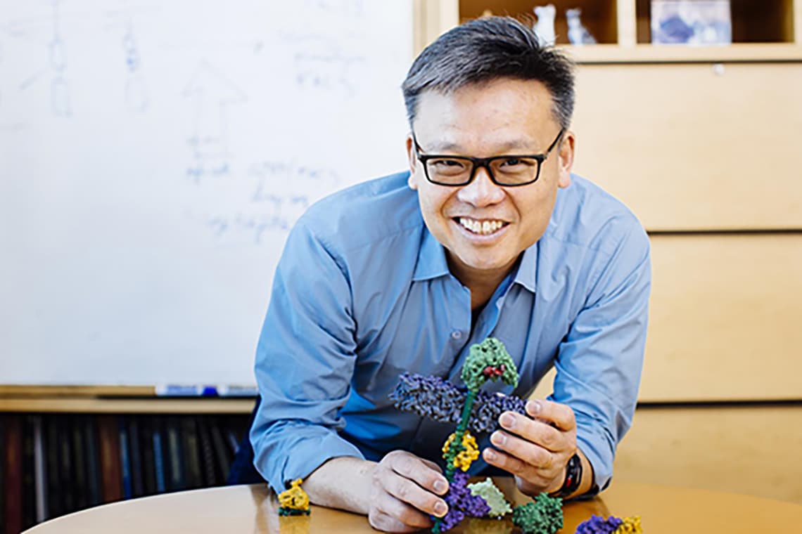 Cell Design Labs, Inc