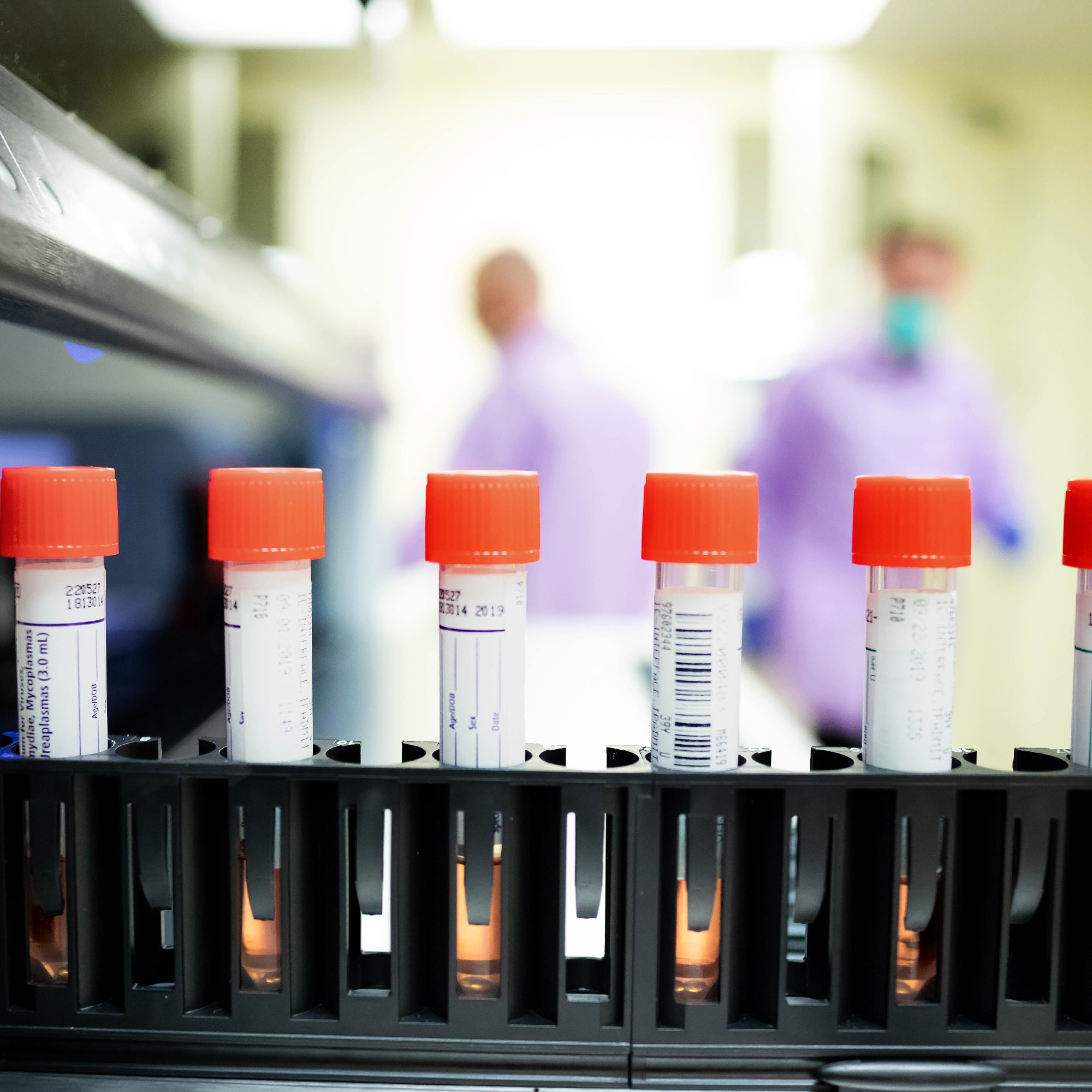 Test tubes in lab