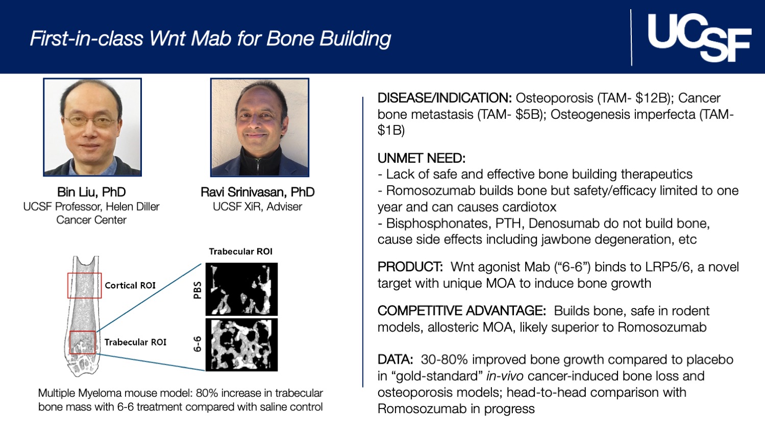 Wnt Mab for bone building slide