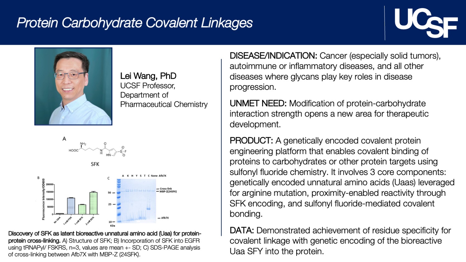 Protein Carbohydrate Covalent Linkages Slide