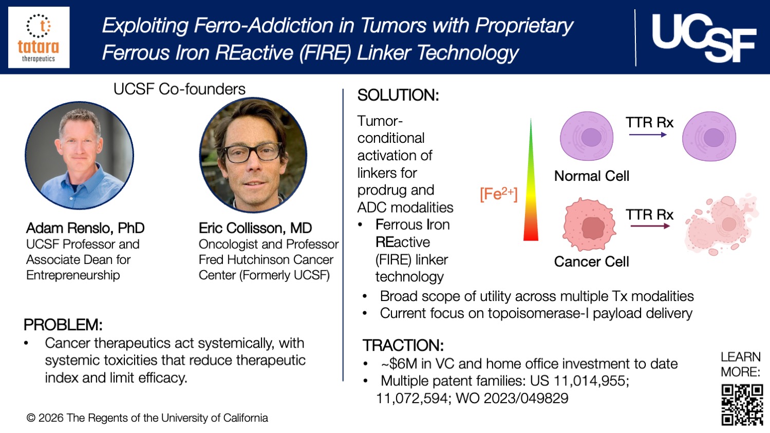 Tatara Therapeutics Slide