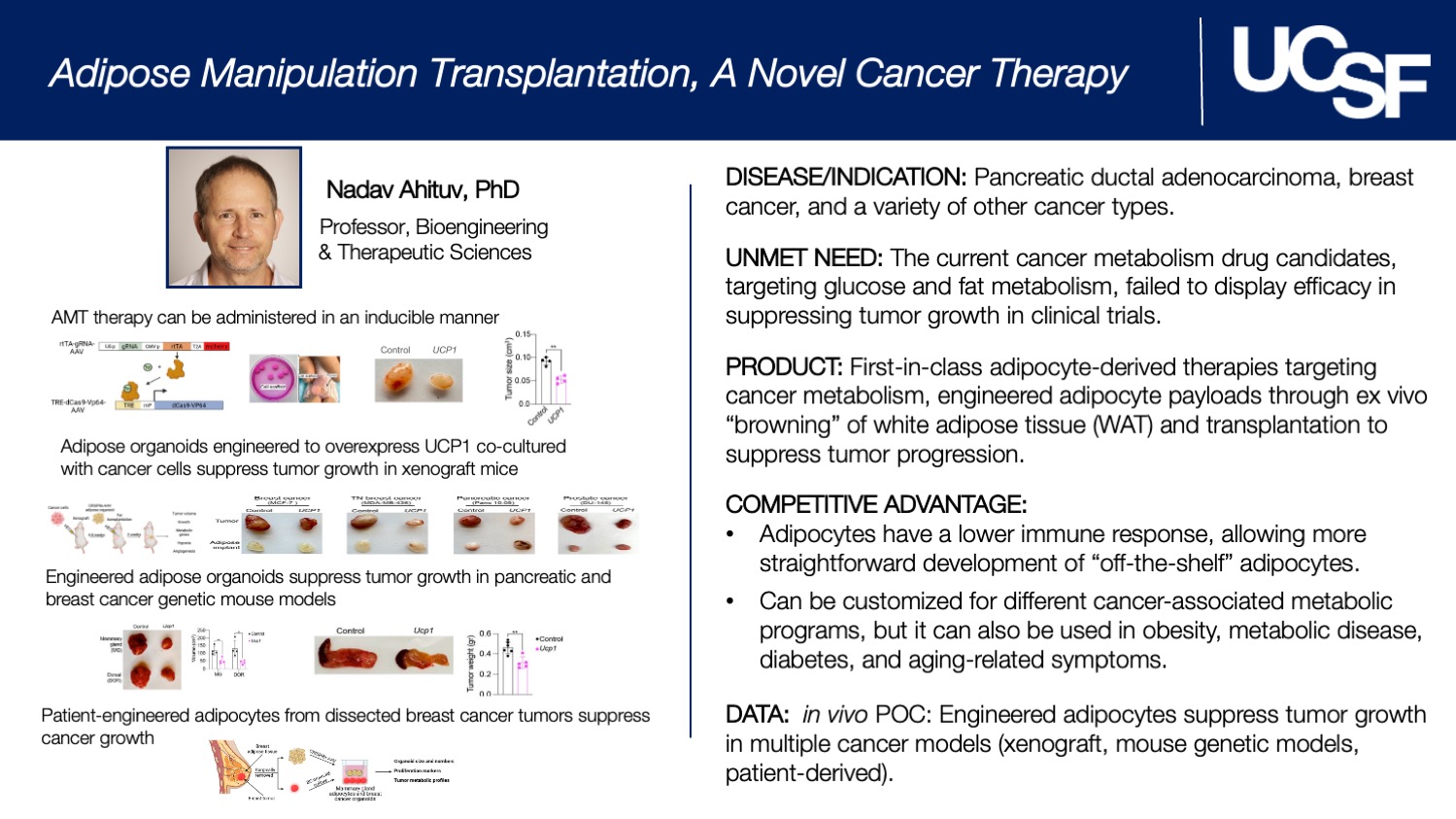 Adipose Manipulation Transplantation, A Novel Cancer Therapy