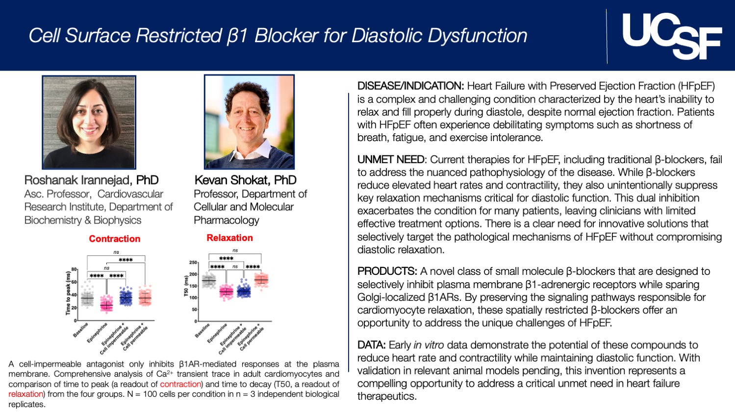Cell Surface Restricted ß1 Blocker for Diastolic Dysfunction