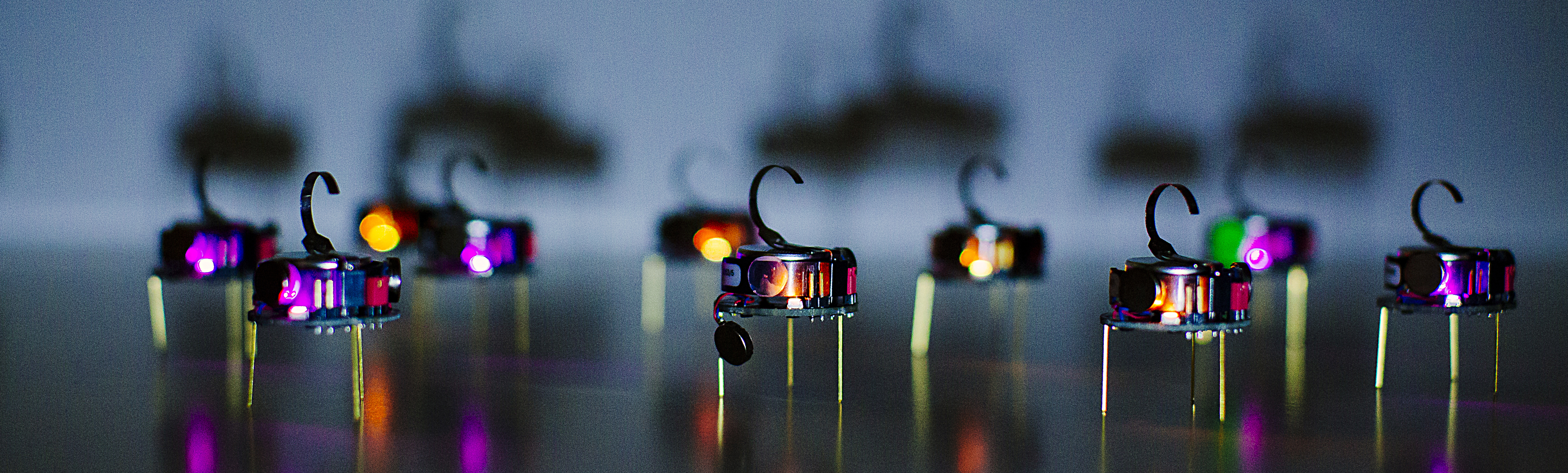 Wendell Lim's "Genebots"